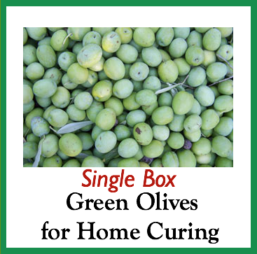 Green Olives for Home Curing